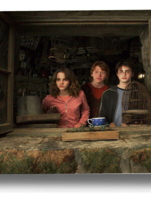 Cuadro Harry Potter Azkaban 25 40x53 Mdf Memoestampados