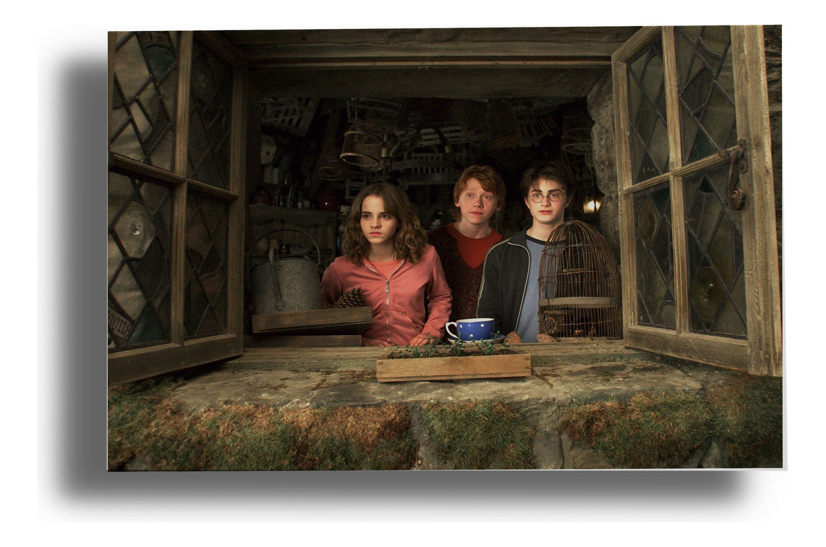 Cuadro Harry Potter Azkaban 25 40x53 Mdf Memoestampados