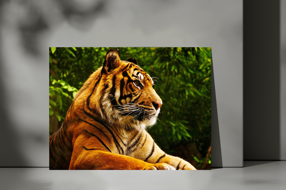 Cuadro Tigre 615 50x70 Mdf Memoestampados - Imagen 3