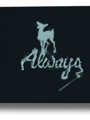 Cuadro Harry Potter 31 70x100 Mdf Memoestampados