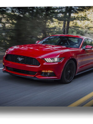 Cuadro Ford Mustang 30x40 Mdf Memoestampados