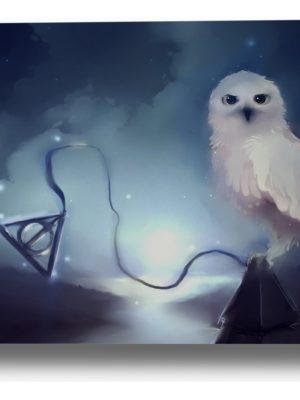 Cuadro Harry Potter, Hedwig 26 70x100 Mdf Memoestampados