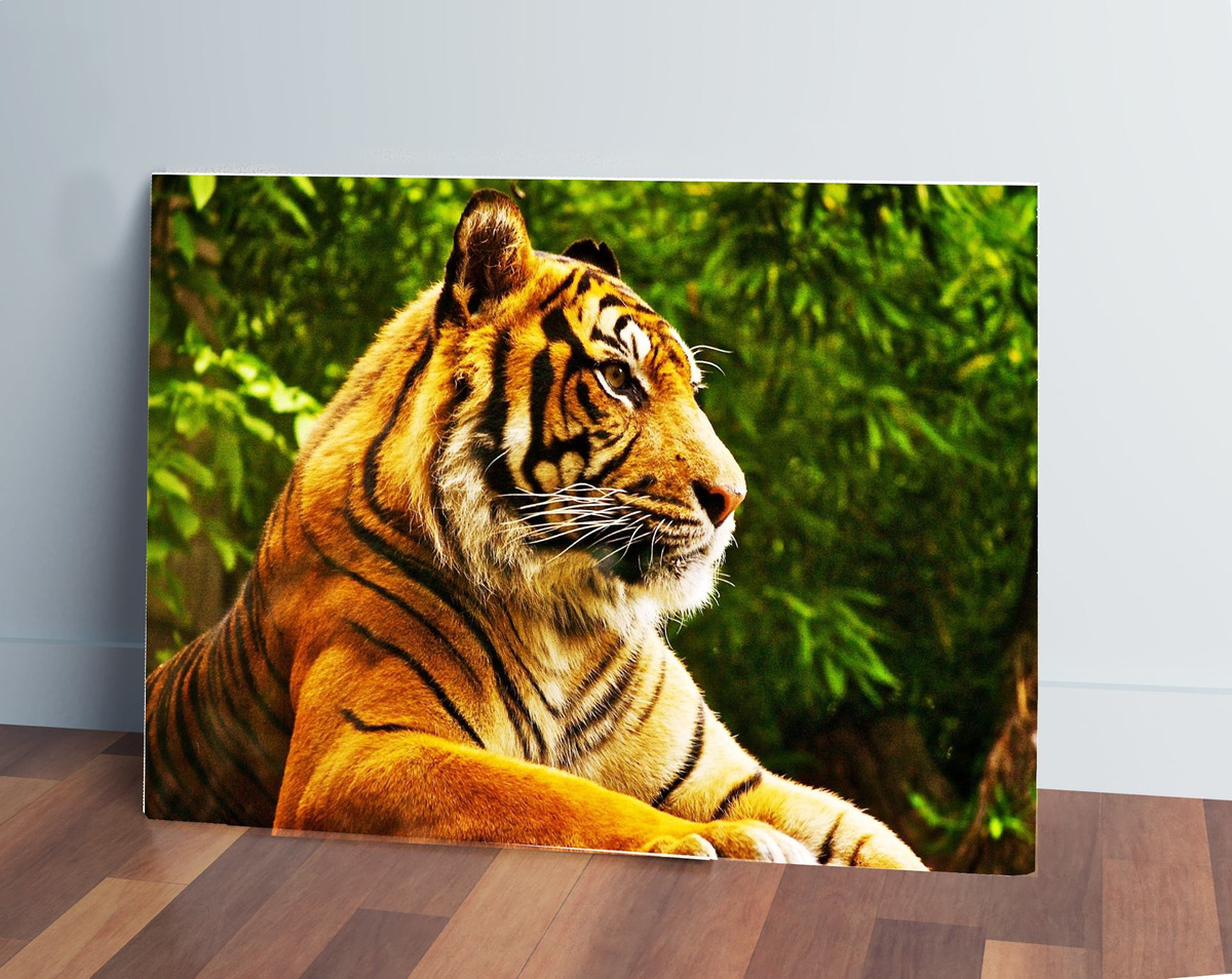 Cuadro Tigre 615 70x100 Mdf Memoestampados