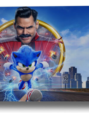 Cuadro Sonic The Hedgehog 169 50x70 Mdf Memoestampados