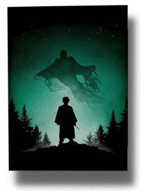 Cuadro Harry Potter 583 70x100 Mdf Memoestampados