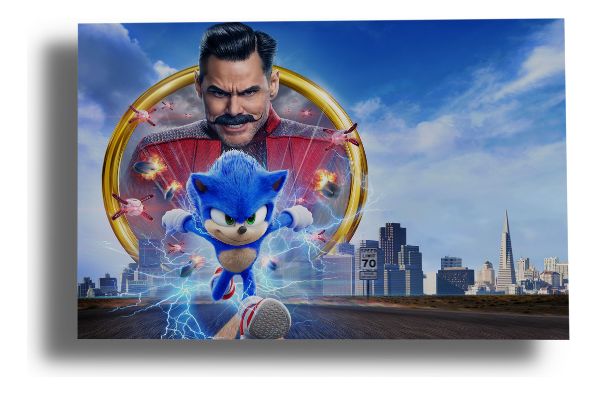 Cuadro Sonic The Hedgehog 169 40x53 Mdf Memoestampados