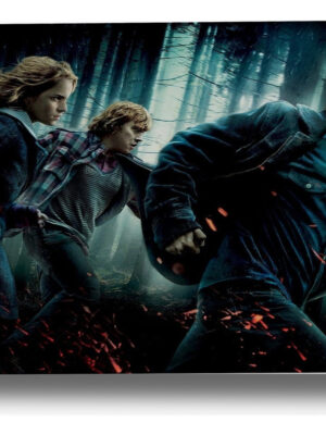 Cuadro 196 Harry Potter 40x53 Mdf Memoestampados