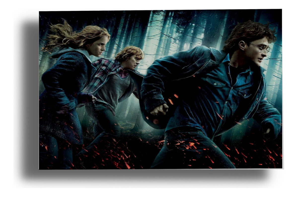 Cuadro 196 Harry Potter 40x53 Mdf Memoestampados