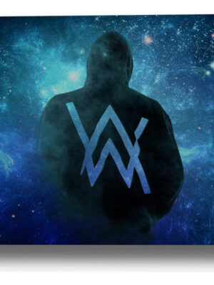 Cuadro Alan Walker 553 70x100 Mdf Memoestampados
