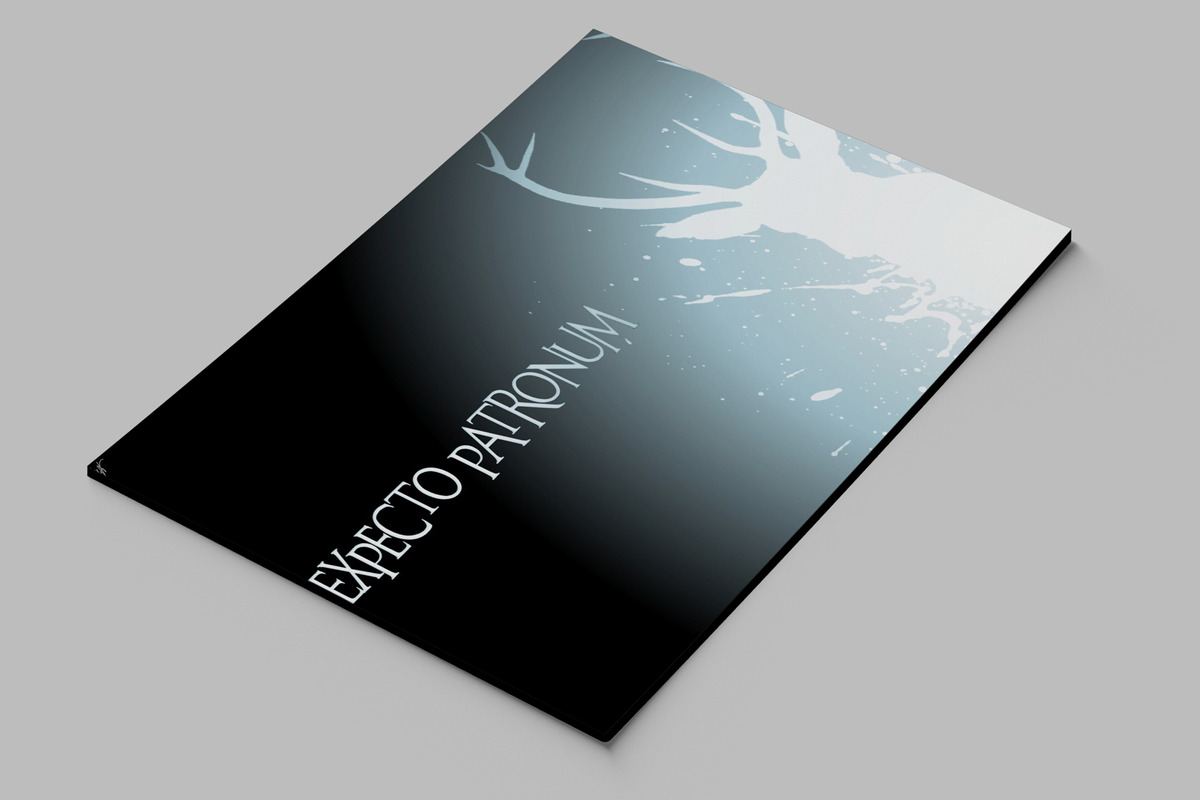 Cuadro Harry Potter Expectro 28 40x53 Mdf Memoestampados - Imagen 2