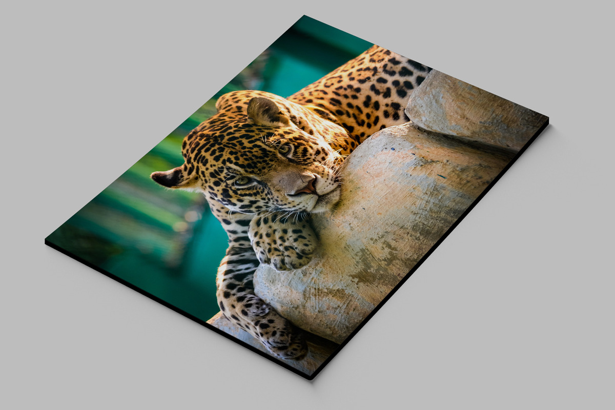 Cuadro Jaguar 584 40x53 Mdf Memoestampados - Imagen 2
