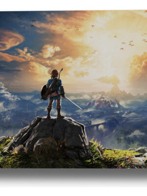 Cuadro 290 Zelda 30x40 Mdf Memoestampados