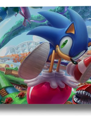 Cuadro Sonic The Hedgehog 175 50x70 Mdf Memoestampados
