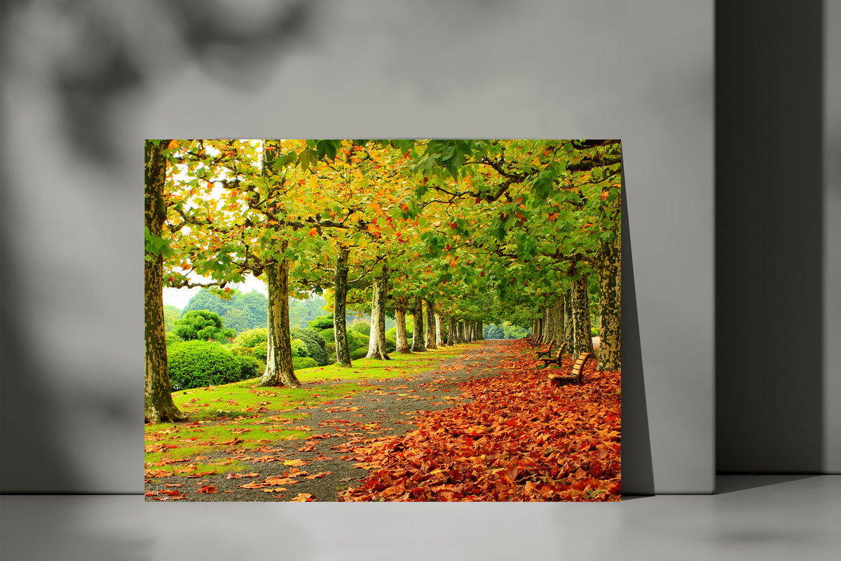 Cuadro Parque Con Hojas 606 70x100 Mdf Memoestampados - Imagen 3