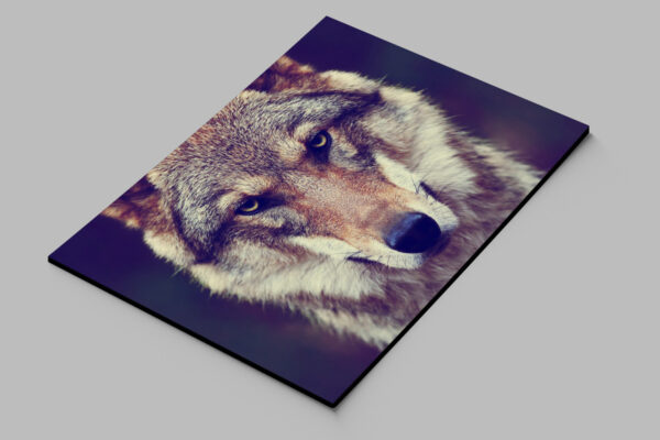 Cuadro Lobo 592 40x53 Mdf Memoestampados - Imagen 2