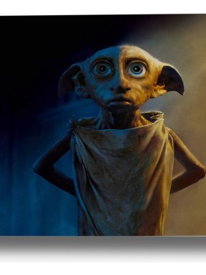 Cuadro Dobby, Harry Potter 20 70x100 Mdf Memoestampados