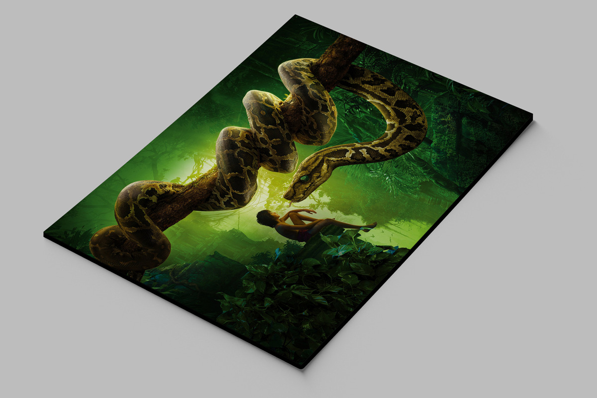 Cuadro El Libro De La Selva 573 40x53 Mdf Memoestampados - Imagen 2
