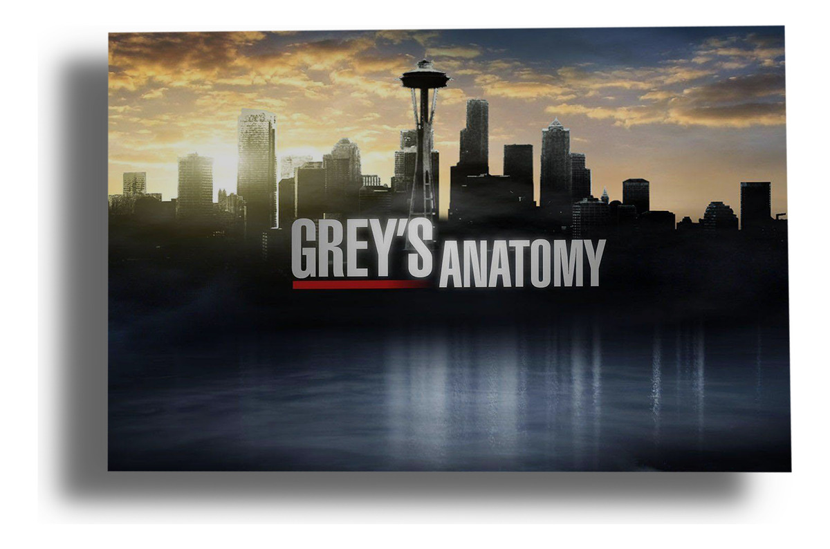 Cuadro Greys Anatomy 515 70x100 Mdf Memoestampados