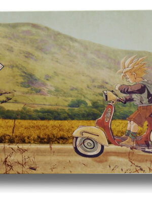 Cuadro Dragon Ball Z Super 127 70x100 Mdf Memoestampados
