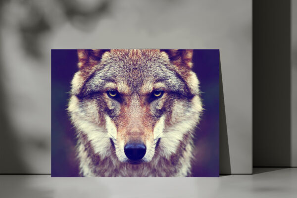 Cuadro Lobo 592 40x53 Mdf Memoestampados - Imagen 3