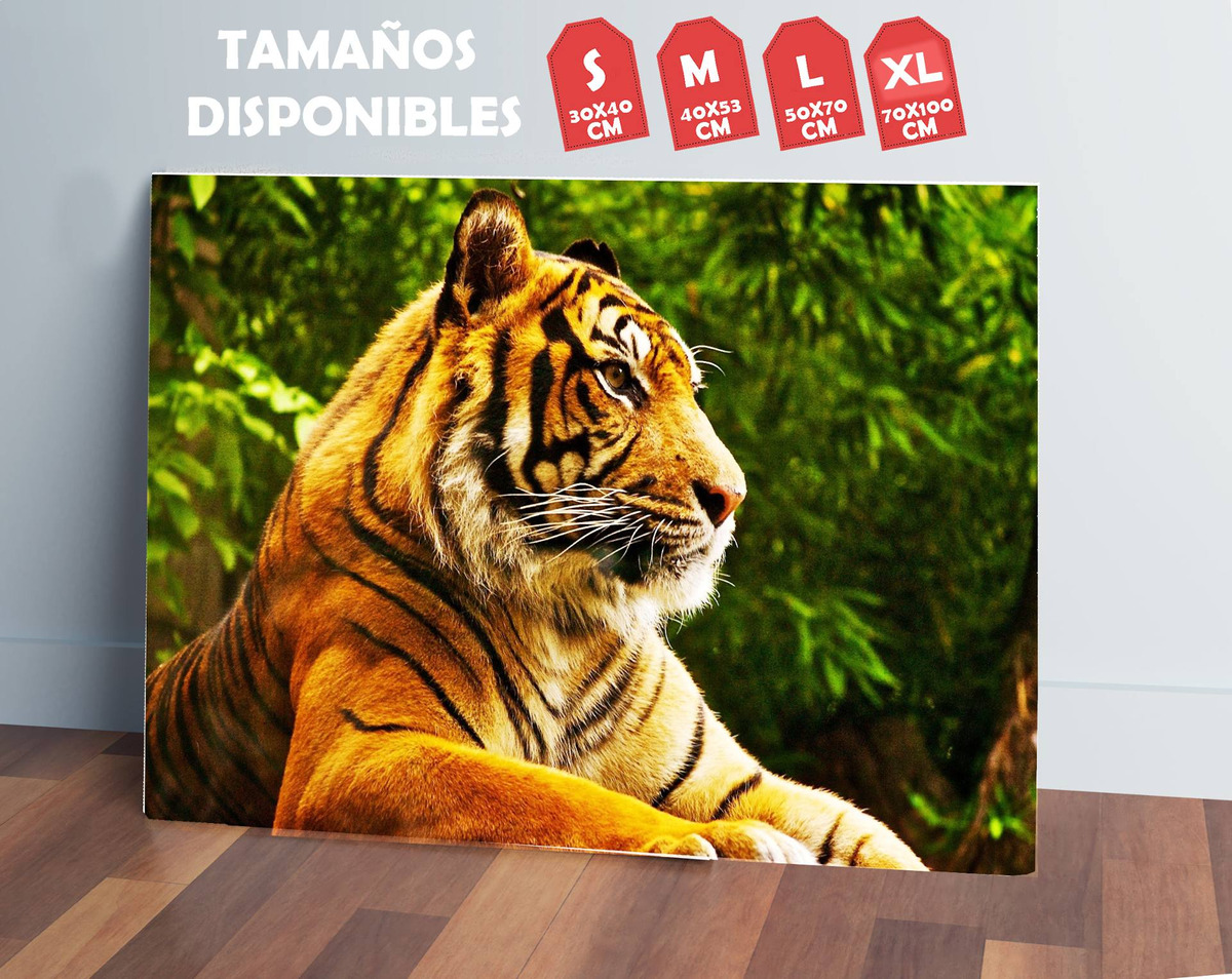 Cuadro Tigre 615 70x100 Mdf Memoestampados - Imagen 2