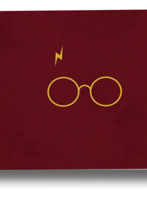 Cuadro Harry Potter, Lentes Ama 29 30x40 Mdf Memoestampados