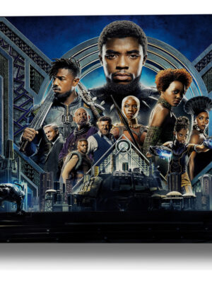 Cuadro Black Panther 395 50x70 Mdf Memoestampados