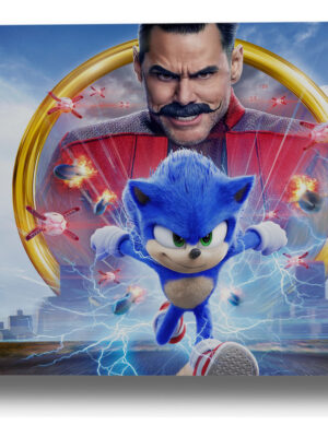 Cuadro Sonic The Hedgehog 170 70x100 Mdf Memoestampados
