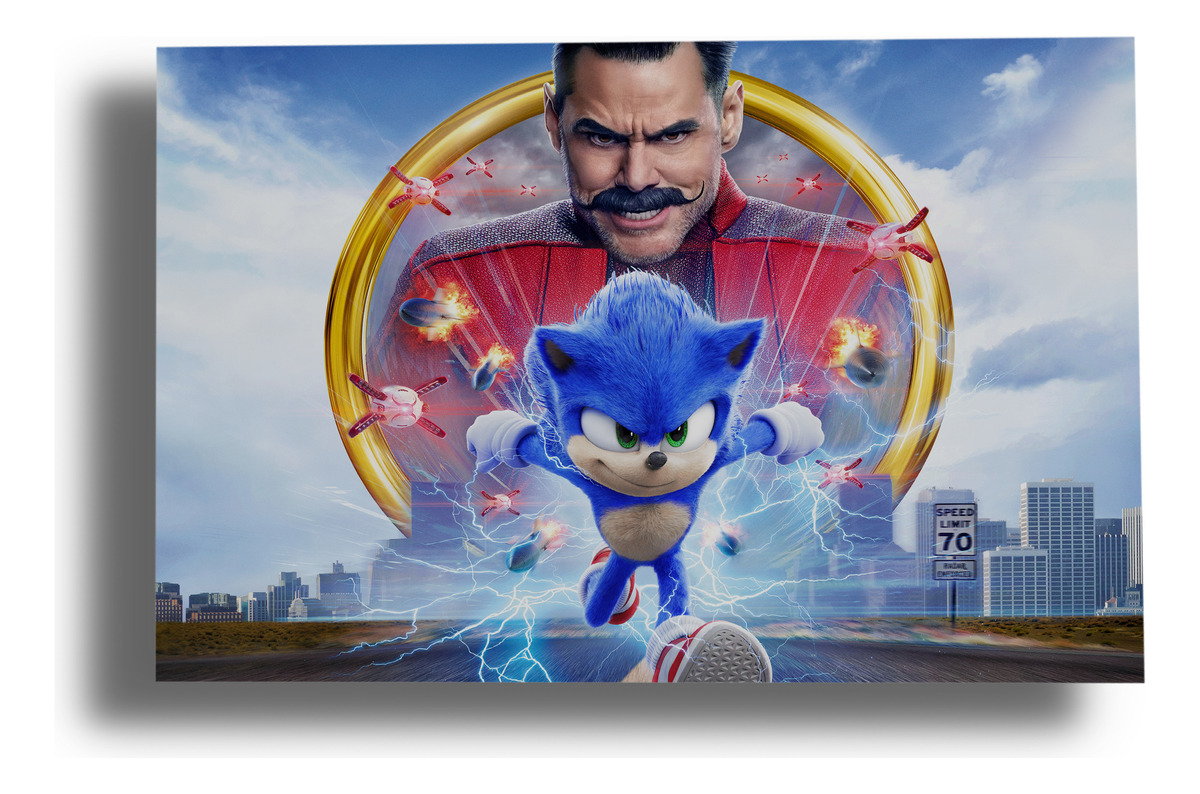 Cuadro Sonic The Hedgehog 170 70x100 Mdf Memoestampados