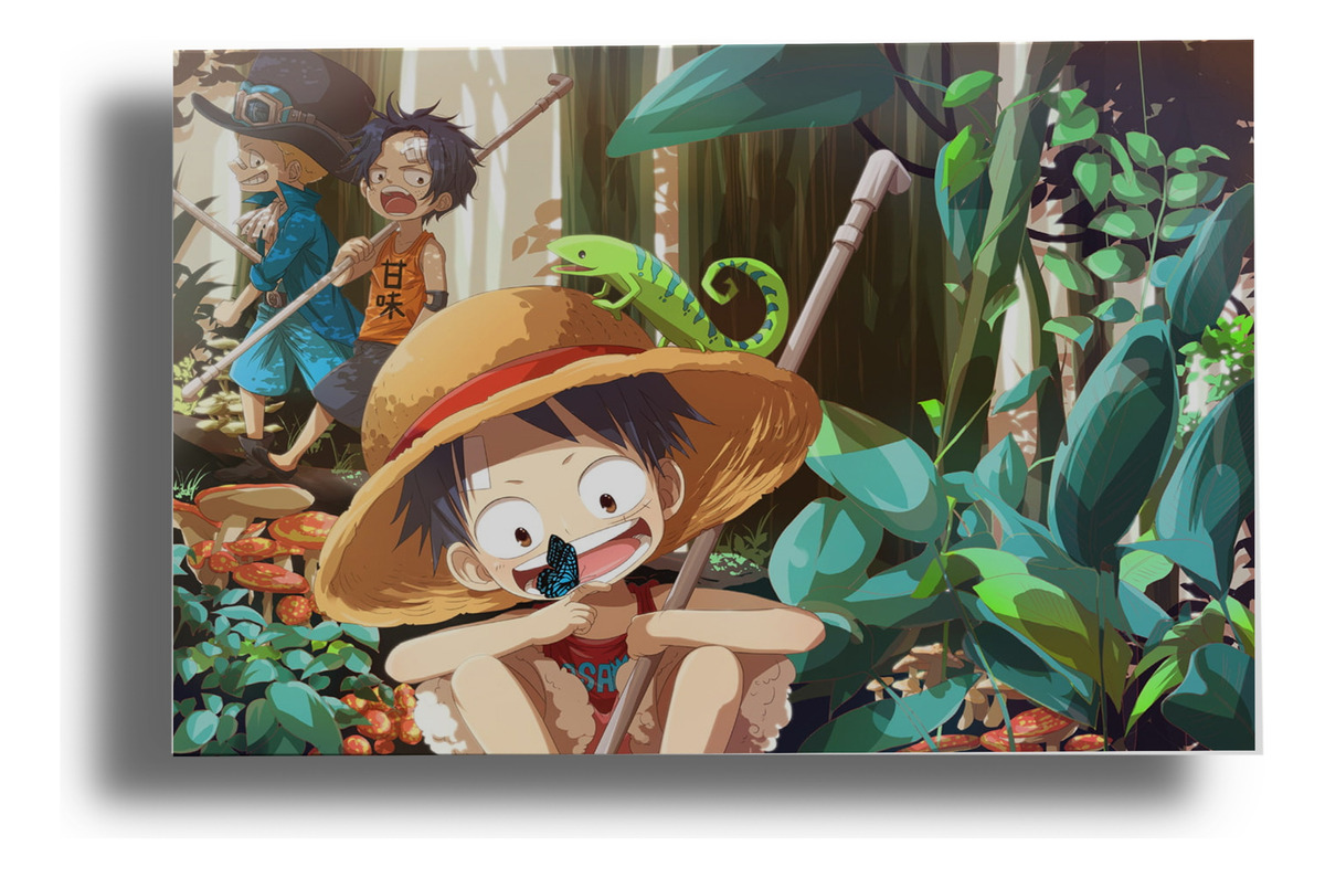 Cuadro 241 One Piece Luffy 30x40 Mdf Memoestampados