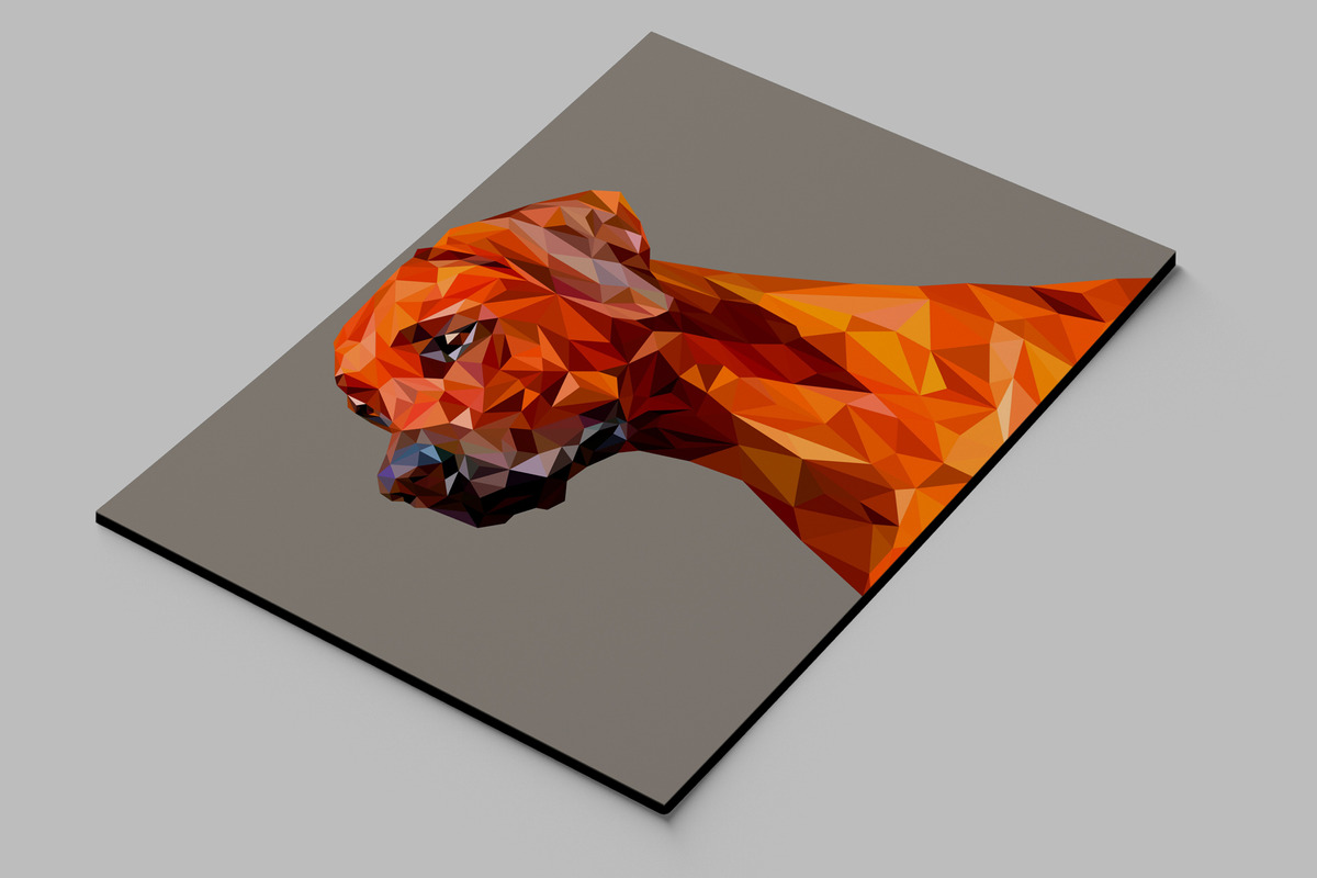 Cuadro 322 Dog 70x100 Mdf Memoestampados - Imagen 2