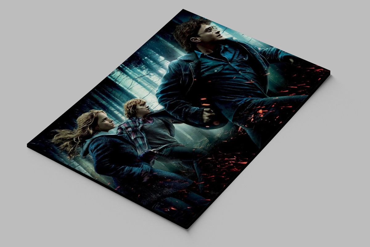 Cuadro 196 Harry Potter 40x53 Mdf Memoestampados - Imagen 3