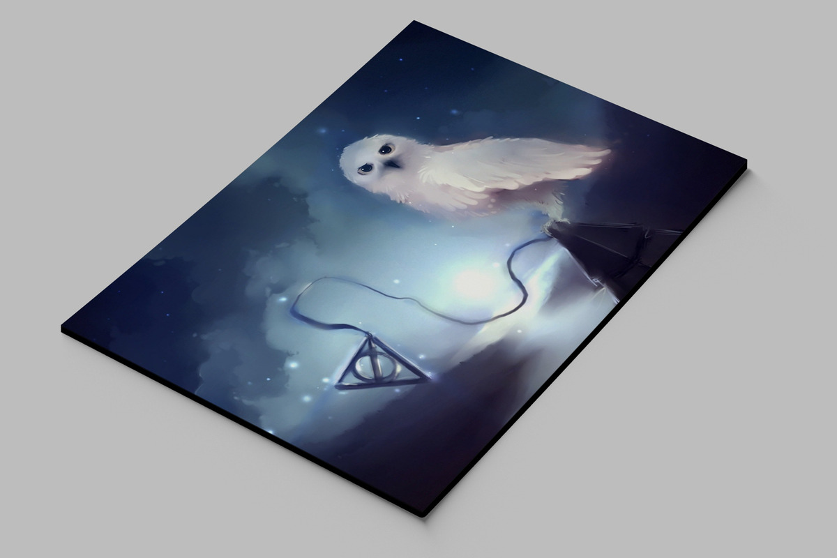Cuadro Harry Potter, Hedwig 26 30x40 Mdf Memoestampados - Imagen 2