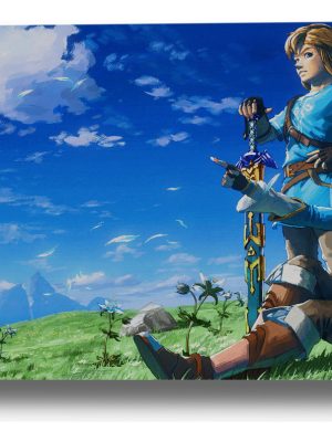 Cuadro Zelda 385 40x53 Mdf Memoestampados