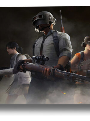 Cuadro 249 Pubg 50x70 Mdf Memoestampados
