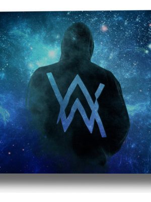 Cuadro Alan Walker 553 30x40 Lienzo Memoestampados