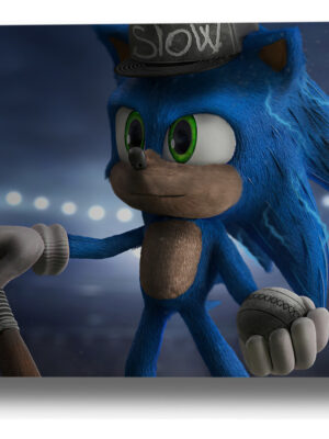 Cuadro Sonic The Hedgehog 171 50x70 Mdf Memoestampados