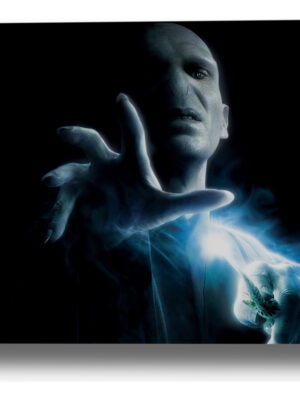 Cuadro Harry Potter Voldemort 24 50x70 Mdf Memoestampados