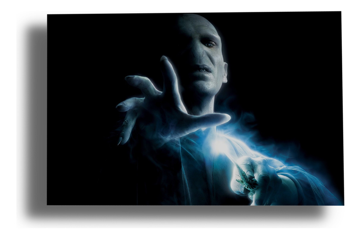 Cuadro Harry Potter Voldemort 24 50x70 Mdf Memoestampados