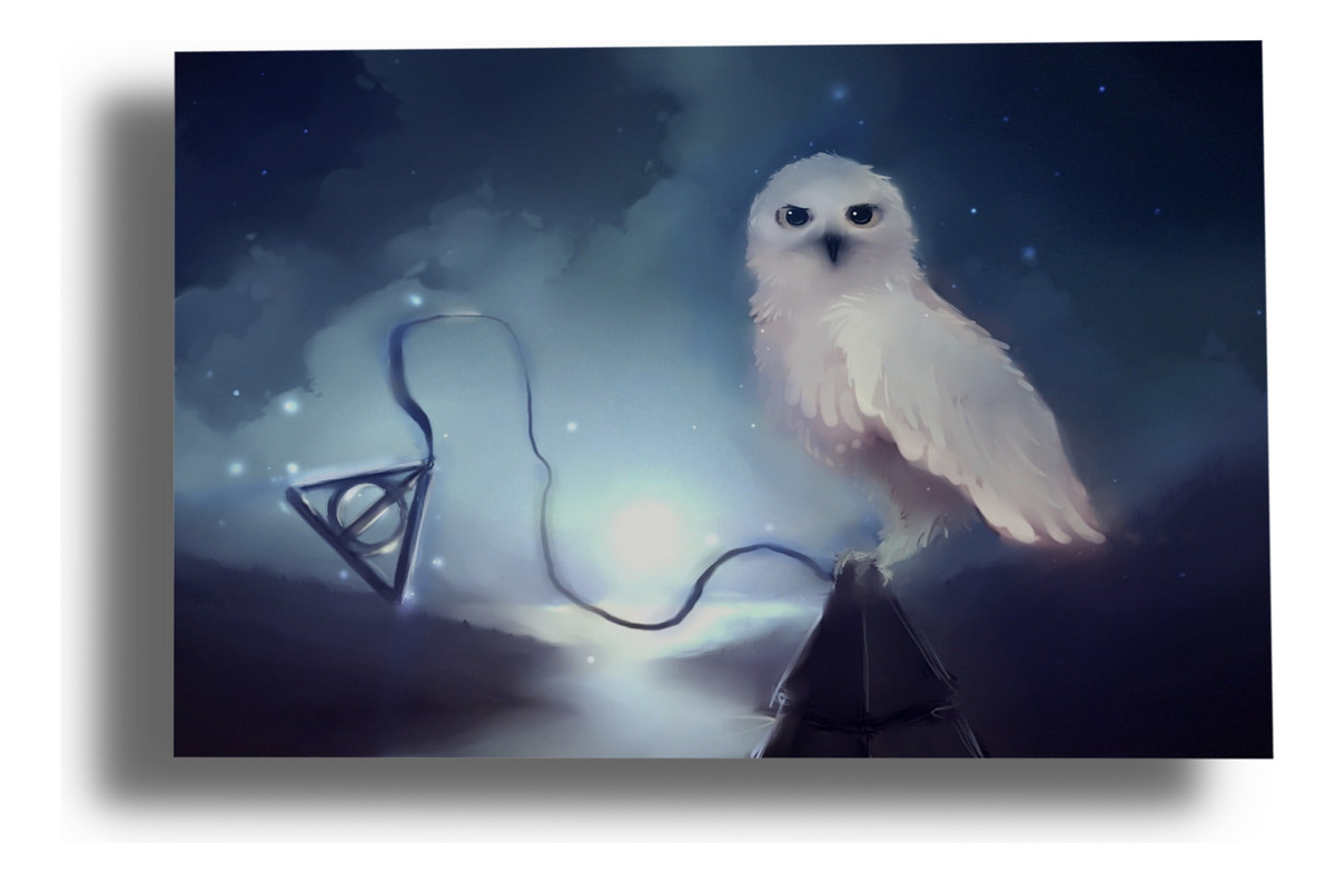 Cuadro Harry Potter, Hedwig 26 30x40 Mdf Memoestampados