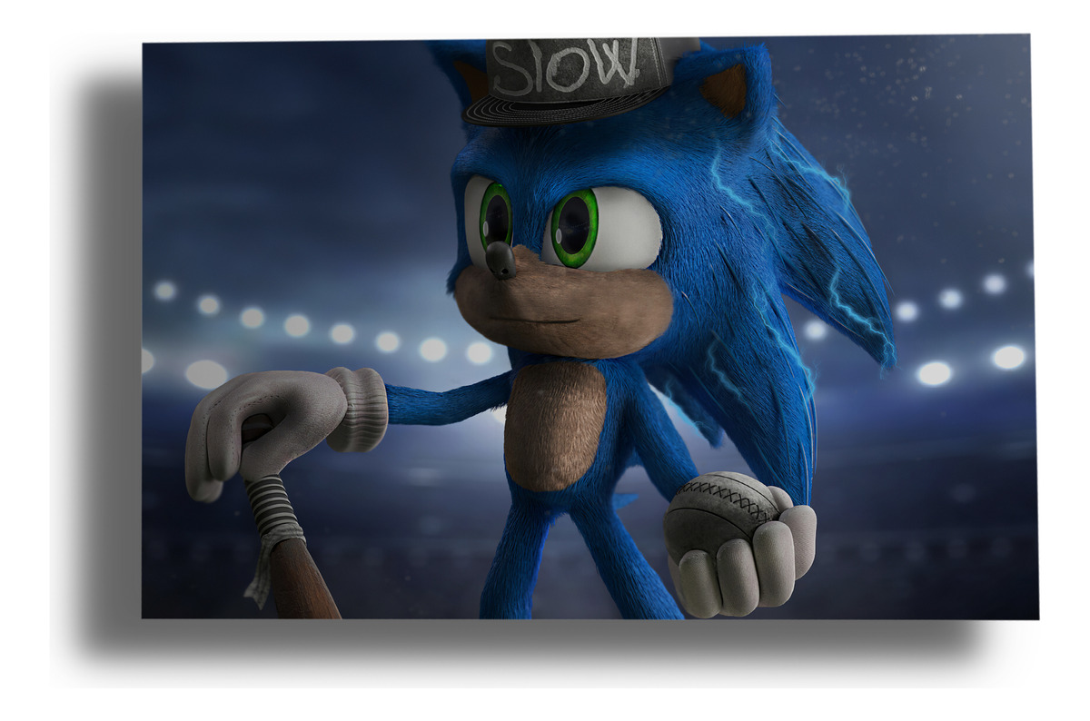 Cuadro Sonic The Hedgehog 171 70x100 Mdf Memoestampados