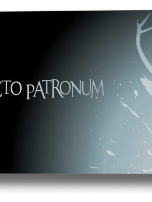 Cuadro Harry Potter Expectro 28 40x53 Mdf Memoestampados