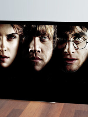 Cuadro Harry Potter Hallows 21 30x40 Mdf Memoestampados