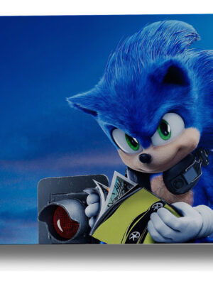 Cuadro Sonic The Hedgehog 176 30x40 Mdf Memoestampados