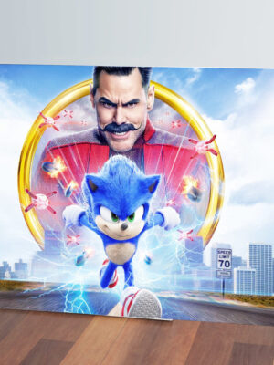 Cuadro Sonic The Hedgehog 170 50x70 Mdf Memoestampados