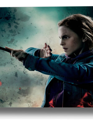 Cuadro Harry Potter, Hermione 27 40x53 Mdf Memoestampados