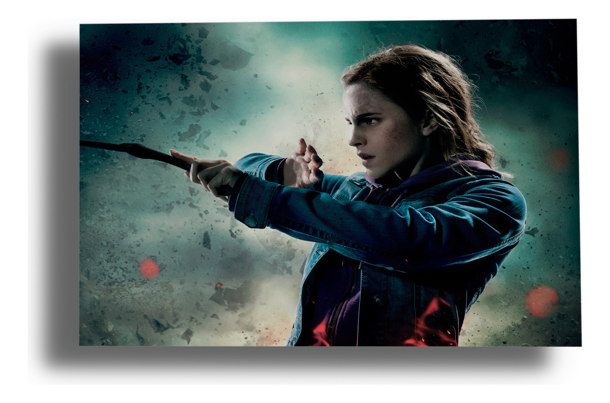 Cuadro Harry Potter, Hermione 27 40x53 Mdf Memoestampados