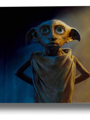 Cuadro Dobby, Harry Potter 20 50x70 Mdf Memoestampados