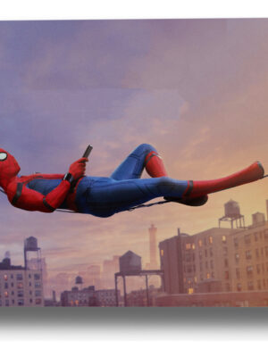 Cuadro 197 Hombre Araña 40x53 Mdf Memoestampados