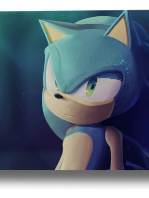 Cuadro Sonic The Hedgehog 174 30x40 Mdf Memoestampados